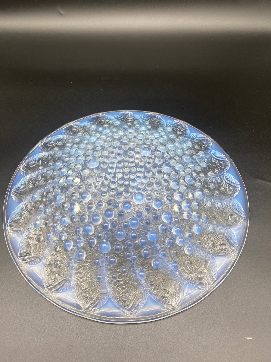 A R.lalique Roscoff Plate In Opalescent Glass.-photo-3