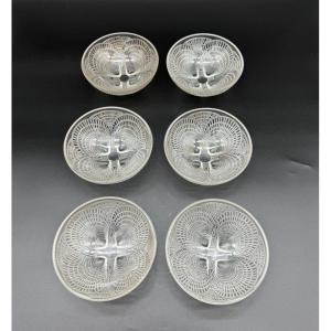 Six Shell Bowls  By R.lalique 