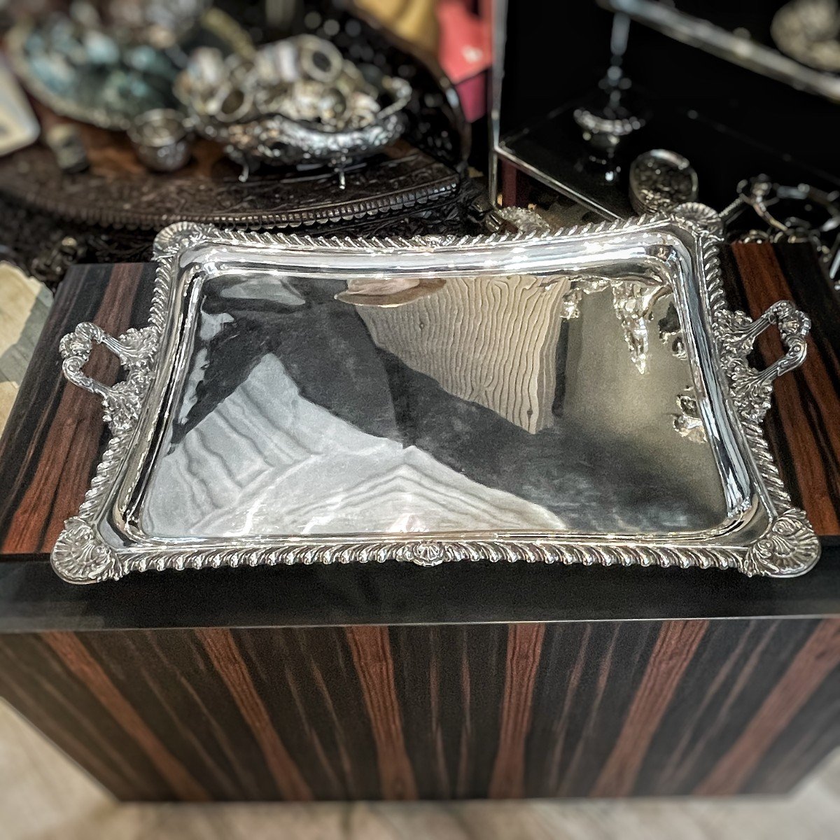 Exceptional Large Solid Silver Tray By Carlo Balbino-photo-5