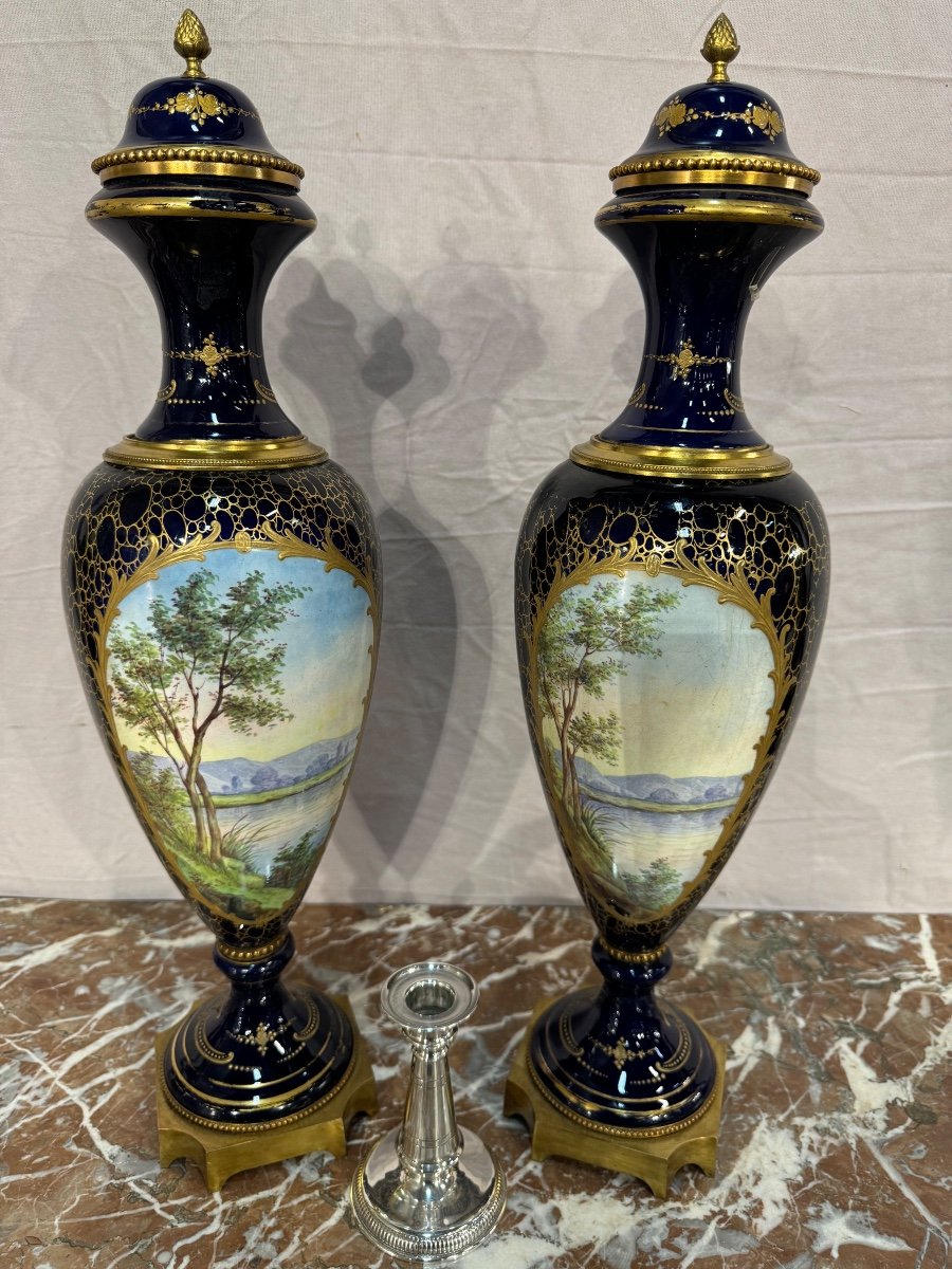 Pair Of Sevres Vases 