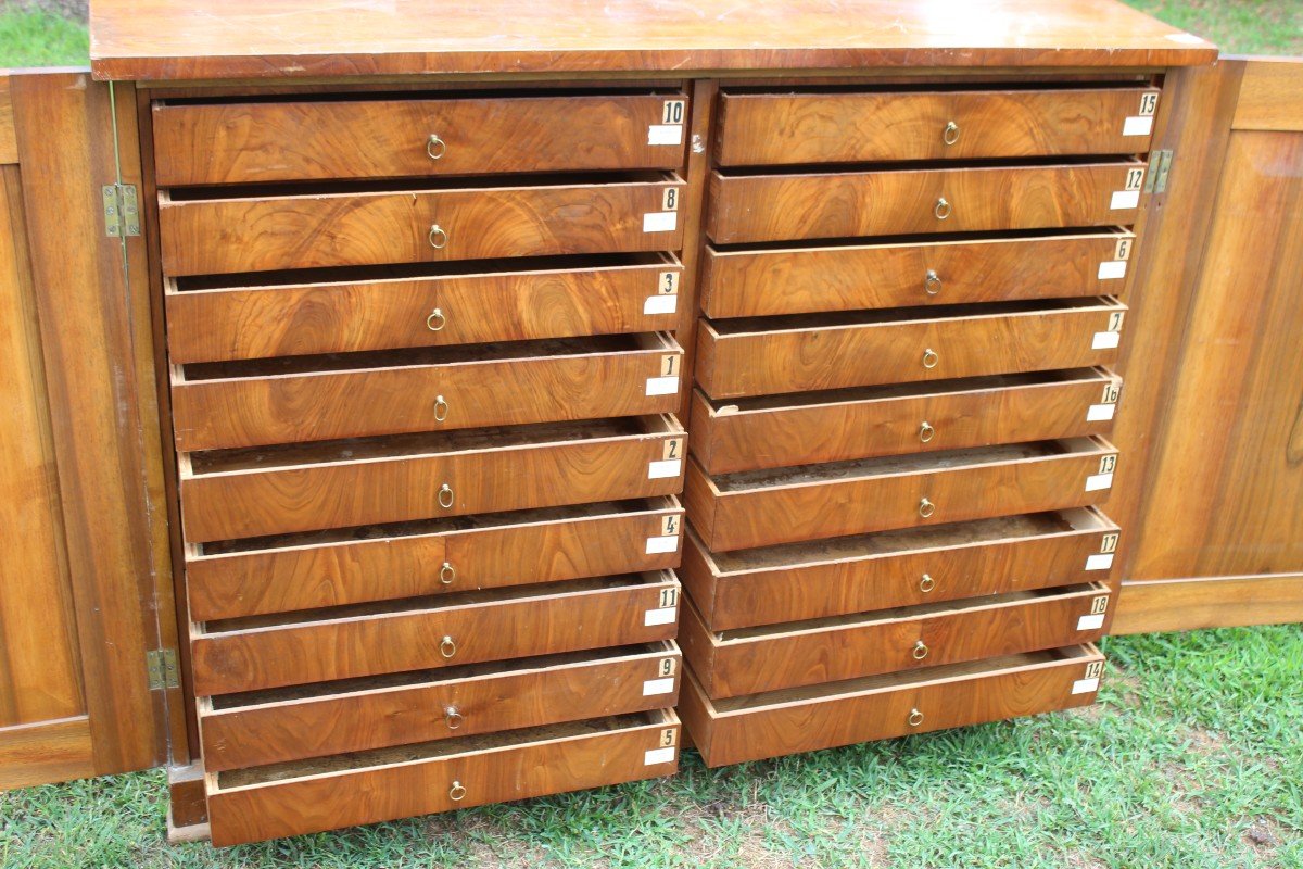 Rare Biedermeier Period Apothecary's Walnut Chest Of Drawers With 18 Drawers, Circa 1840.-photo-2