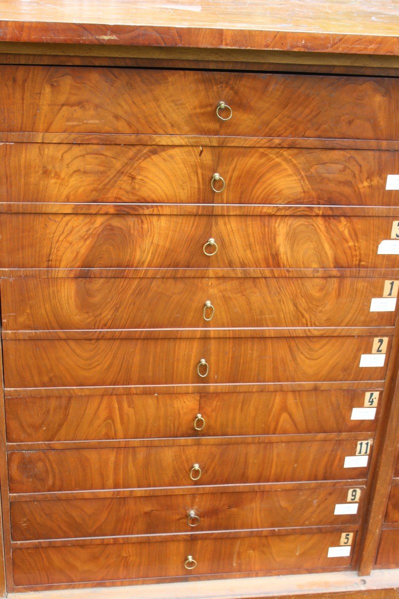 Rare Biedermeier Period Apothecary's Walnut Chest Of Drawers With 18 Drawers, Circa 1840.-photo-5