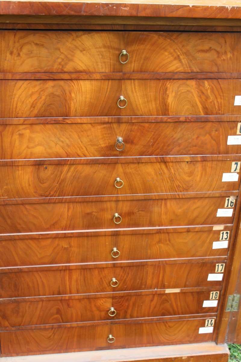 Rare Biedermeier Period Apothecary's Walnut Chest Of Drawers With 18 Drawers, Circa 1840.-photo-6