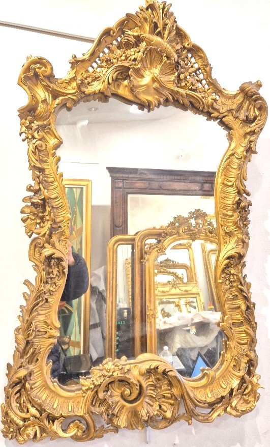 Miroir décor original crustacé 60*92 Cm