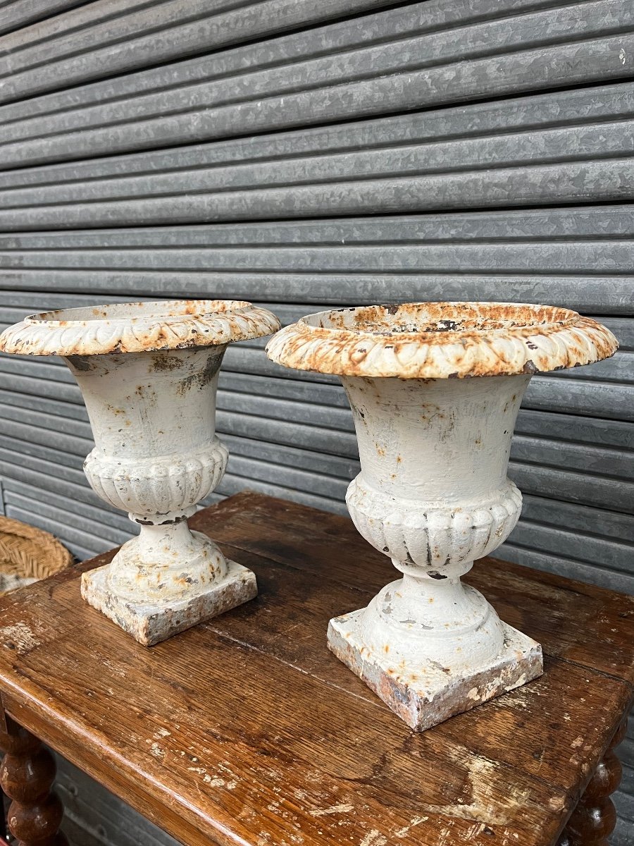 Pair Of Cast Iron Medici Vases