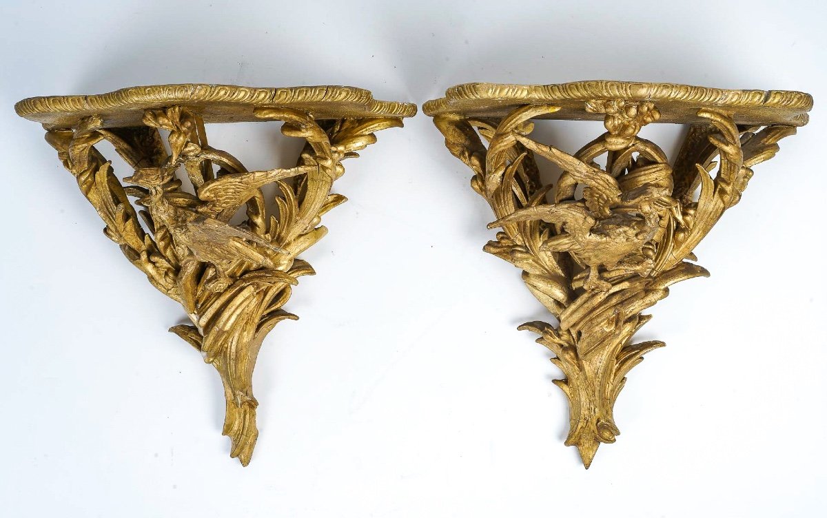 Louis XV Style Pair Of Fantastical Birds Gilt-wood Sconce Consoles Italy Mid-19th Century