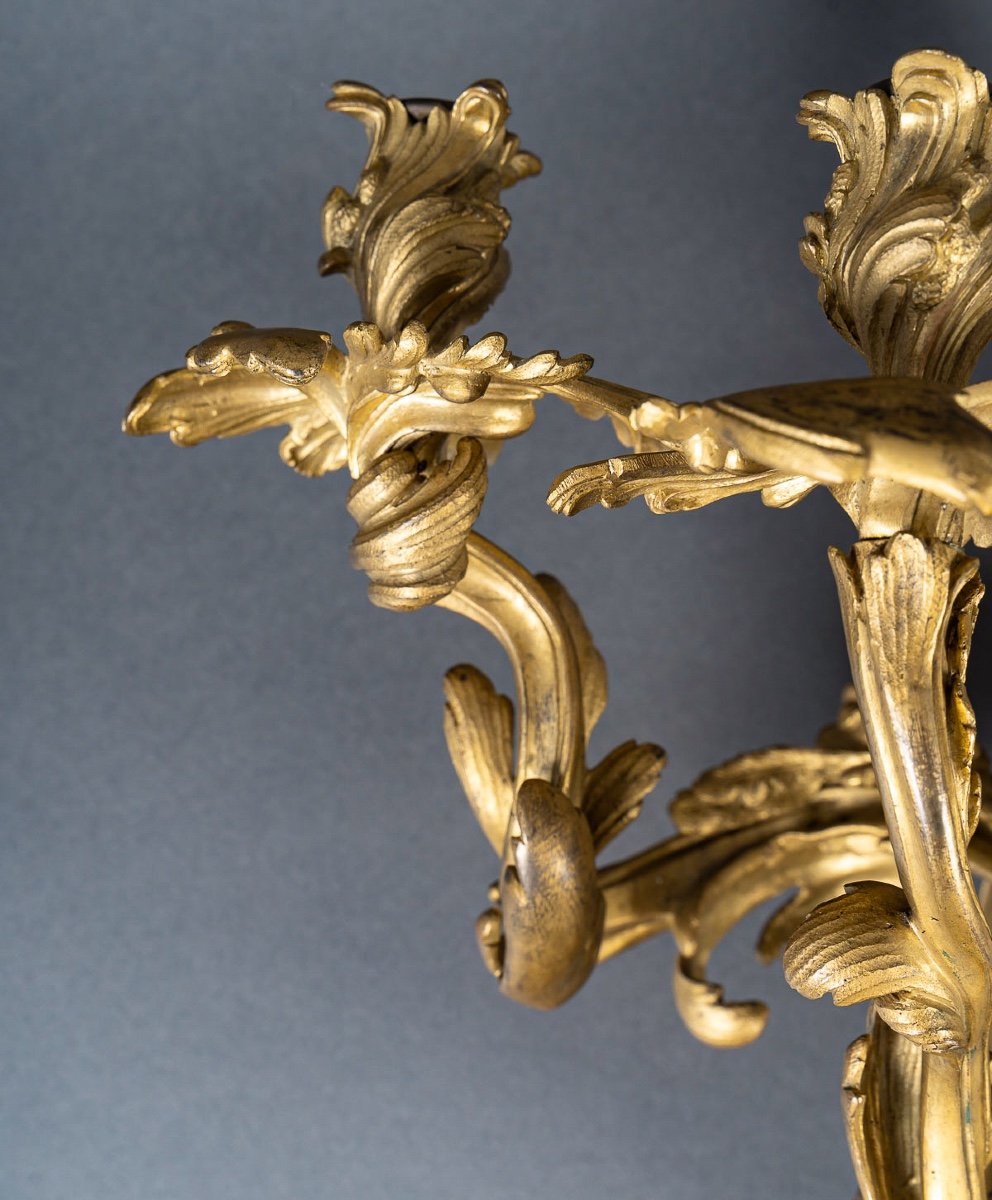 Importante Paire d'Appliques à Cinq Lumières De Style Louis XV En Bronze Ciselé Et Doré-photo-4