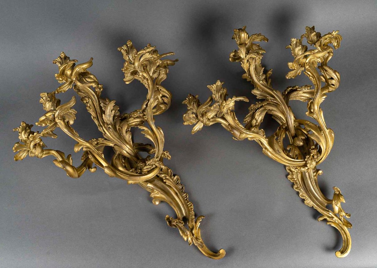 Importante Paire d'Appliques à Cinq Lumières De Style Louis XV En Bronze Ciselé Et Doré