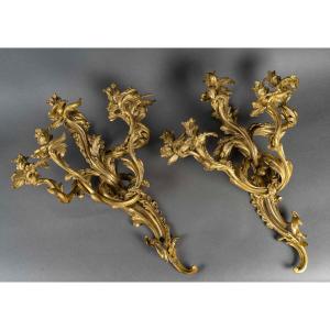 Importante Paire d'Appliques à Cinq Lumières De Style Louis XV En Bronze Ciselé Et Doré