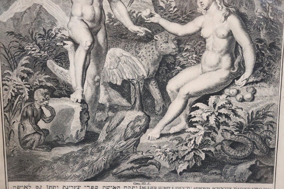 Gerard Hoet, Adam And Eve, Antique Engraving, 17th Century-photo-4