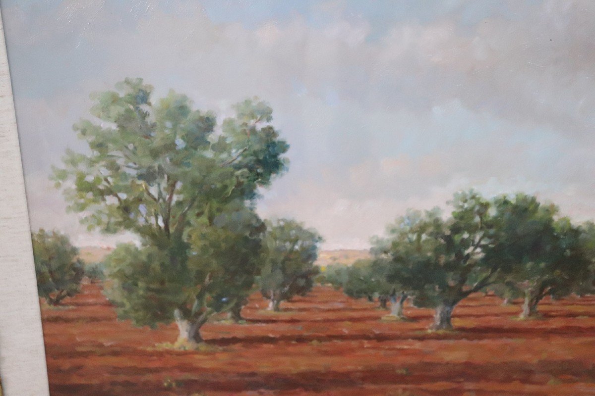 Paysage Avec Oliviers, Italie, Huile Sur Toile-photo-3