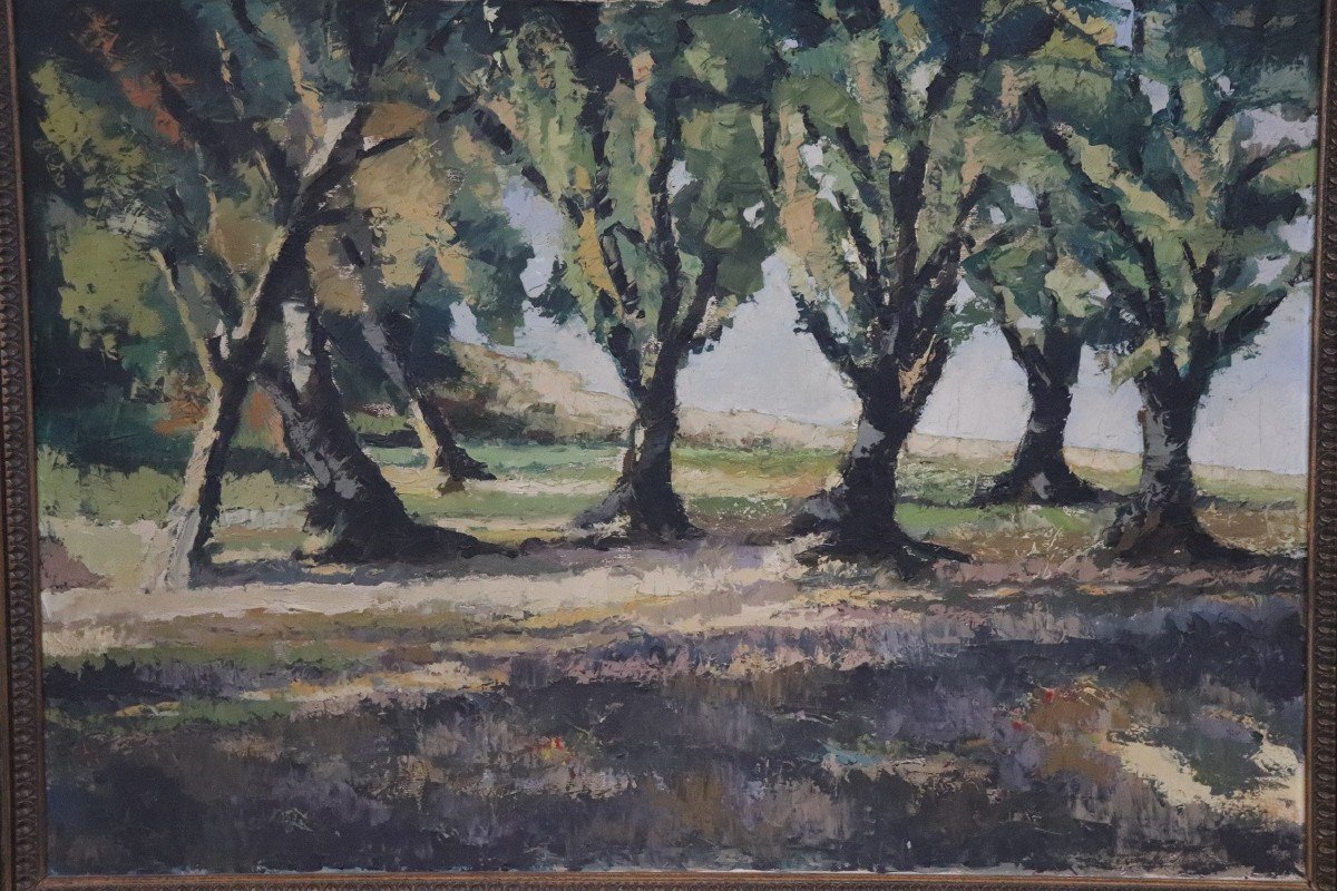 Italian Woodland Landscape Painting, 1920s, Oil On Canvas-photo-2