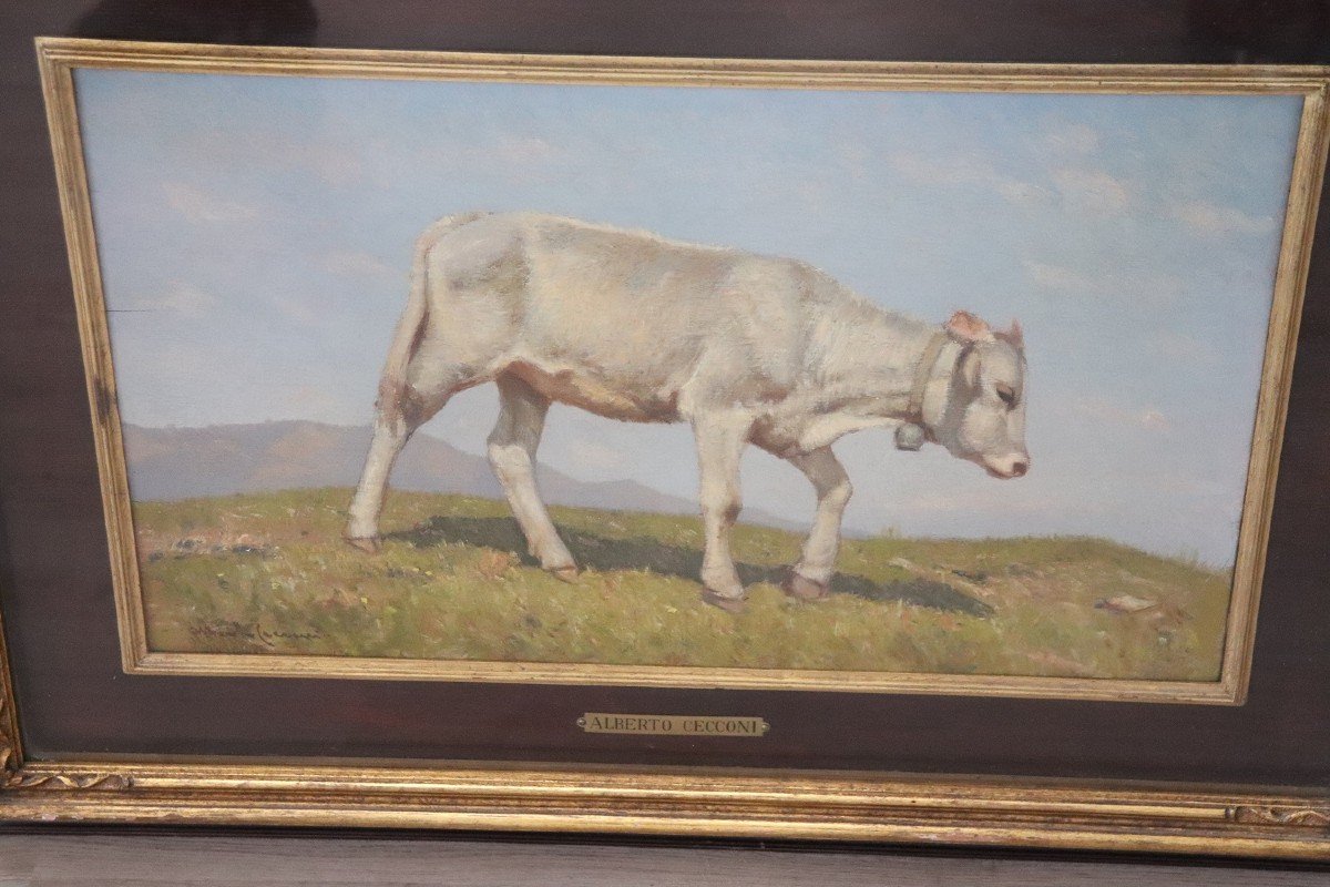 Italian Oil On Board With Calf By Alberto Cecconi-photo-2