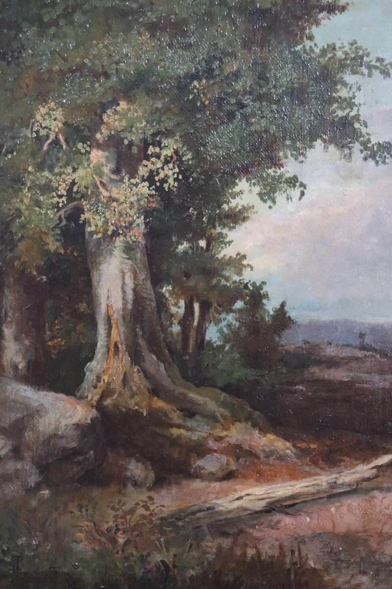 Forest Landscape, Oil Painting On Canvas, Late 19th Century-photo-2