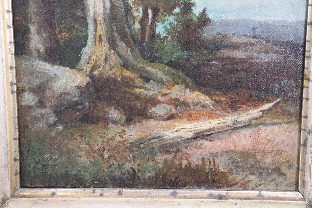 Forest Landscape, Oil Painting On Canvas, Late 19th Century-photo-3