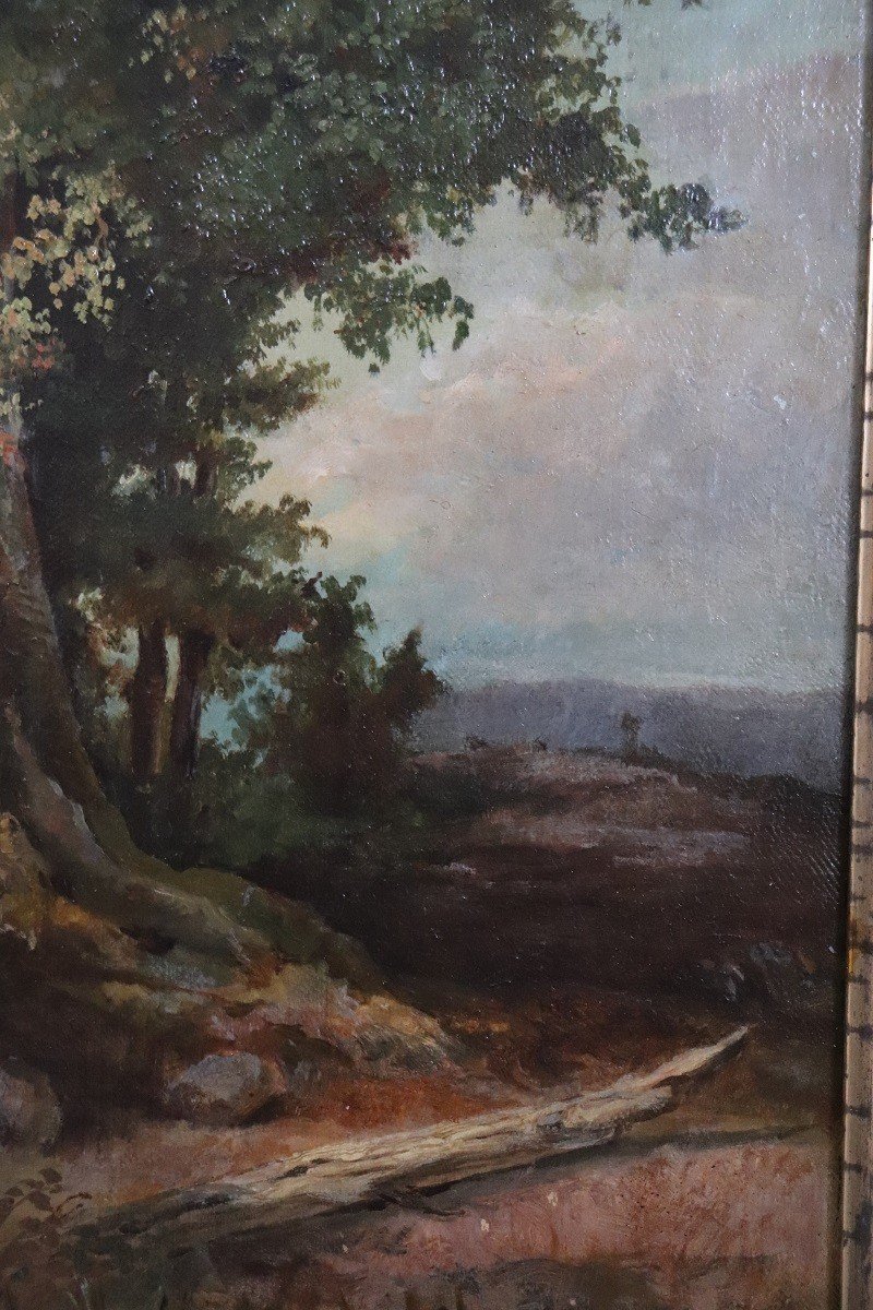 Forest Landscape, Oil Painting On Canvas, Late 19th Century-photo-2