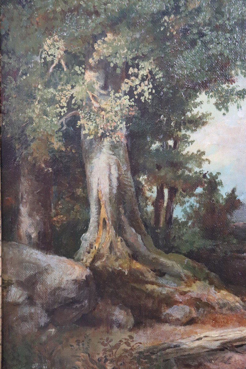 Forest Landscape, Oil Painting On Canvas, Late 19th Century-photo-3