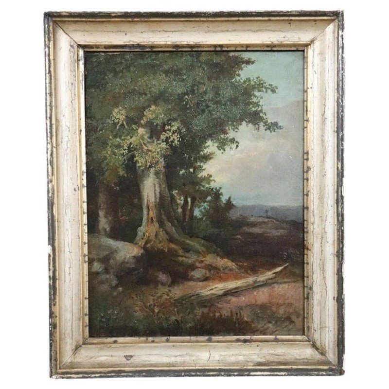 Forest Landscape, Oil Painting On Canvas, Late 19th Century