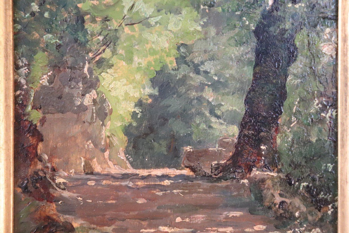 Artiste Italien, Chemin Dans Les Bois, Peinture à l'Huile Sur Bois, Fin Du 19ème Siècle-photo-2