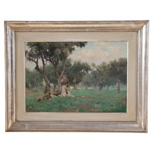 Italian Artist, Olive Grove Landscape, Oil Painting On Canvas, 19th Century