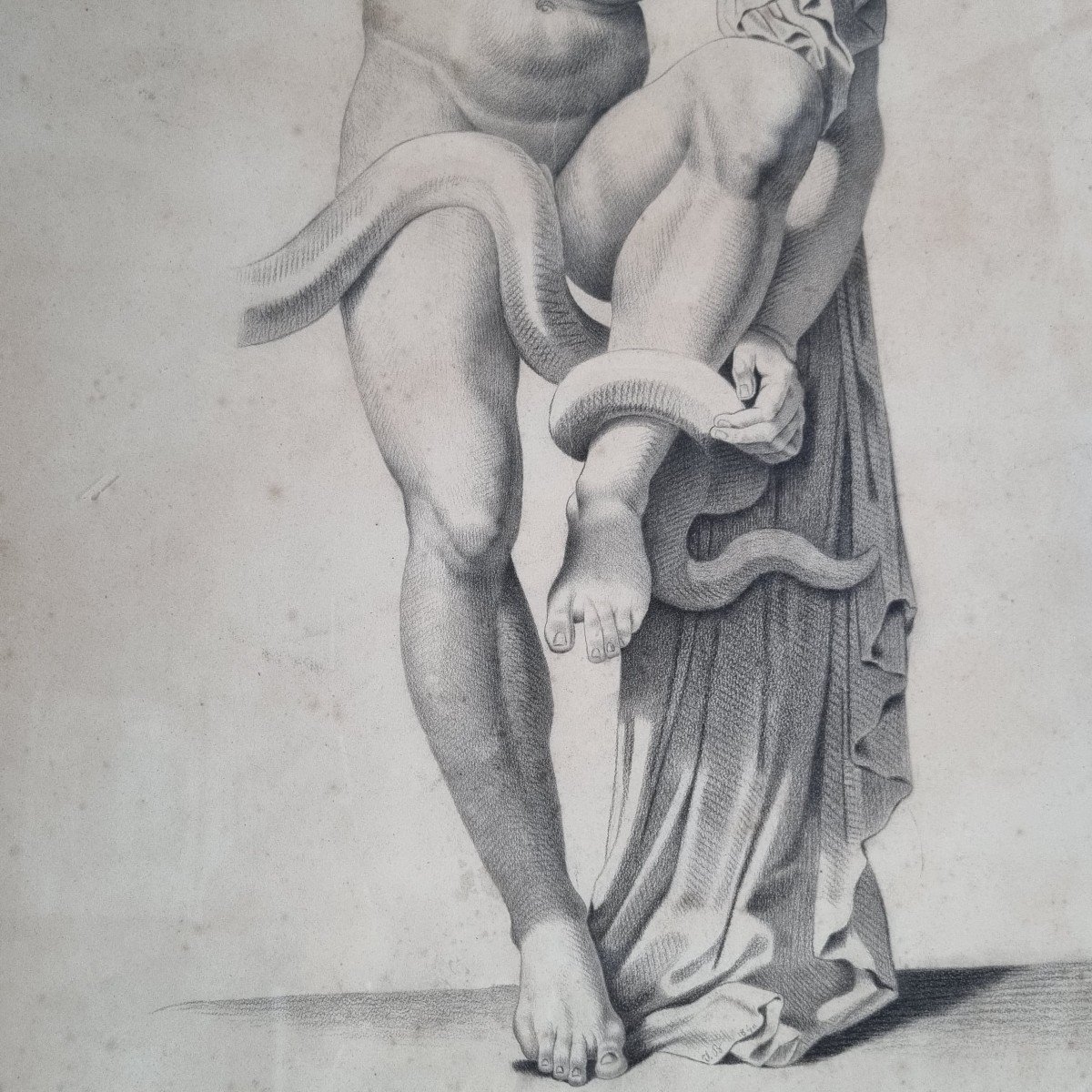 Laocoon, Grand Dessin à La Mine De Plomb, XIXe Siècle.-photo-3