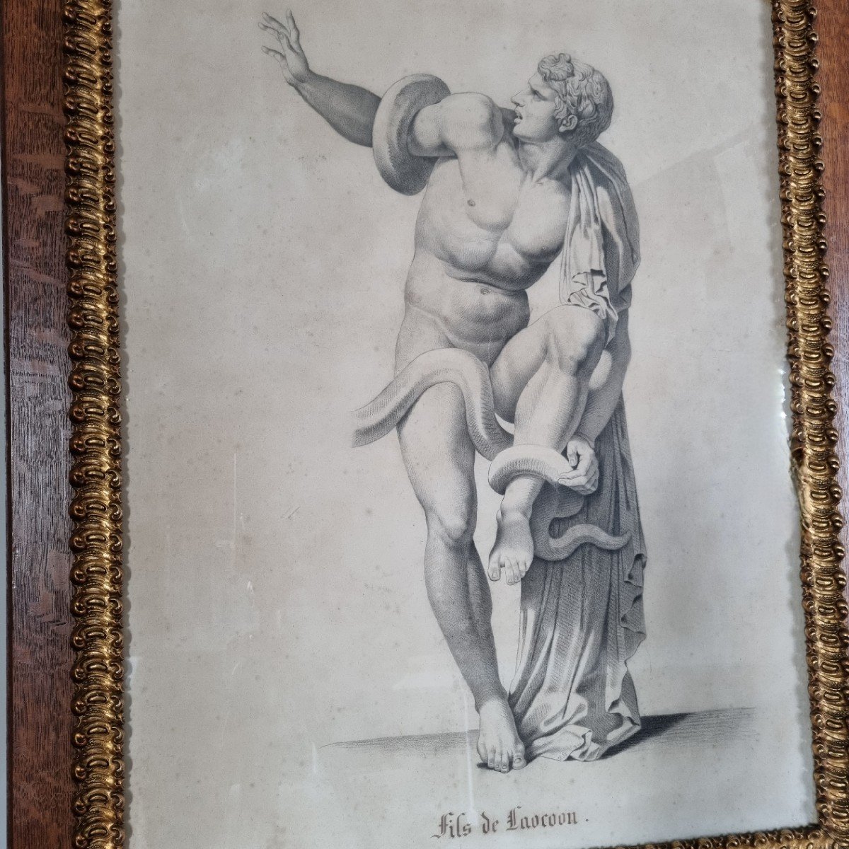 Laocoon, Grand Dessin à La Mine De Plomb, XIXe Siècle.-photo-1