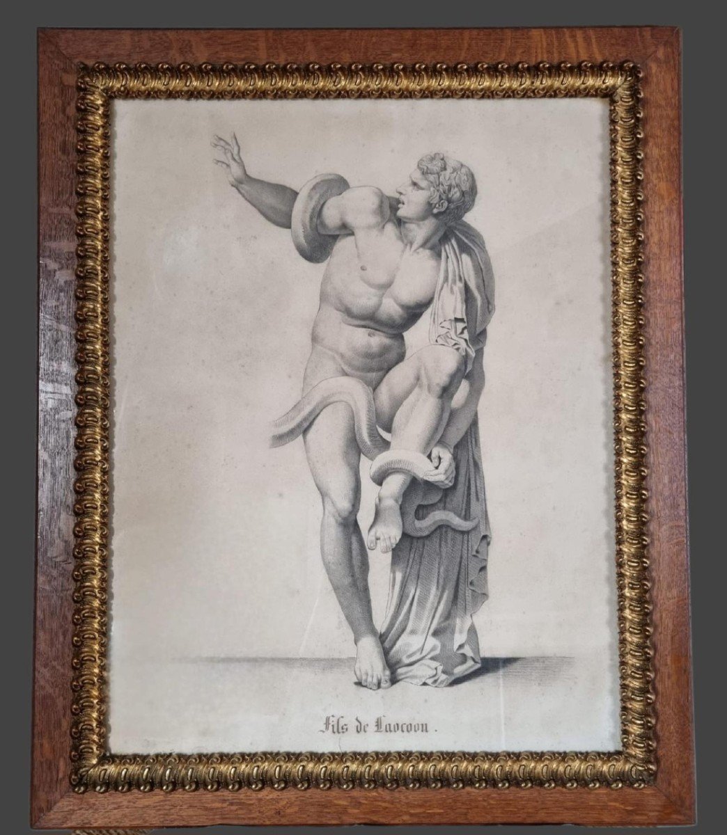 Laocoon, Grand Dessin à La Mine De Plomb, XIXe Siècle.