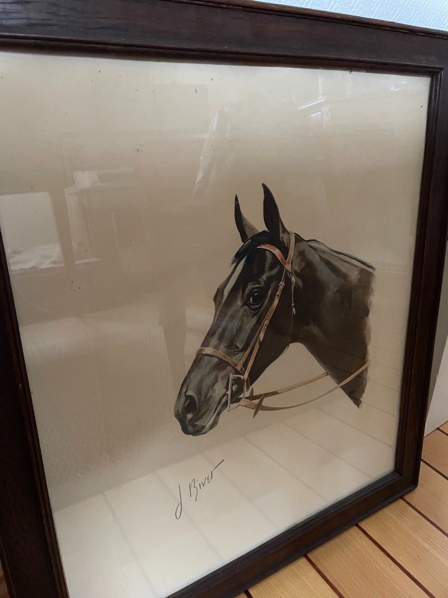 Ancienne Lithographie Cheval Signé Par J Rivet Hippisme Course équitation-photo-4