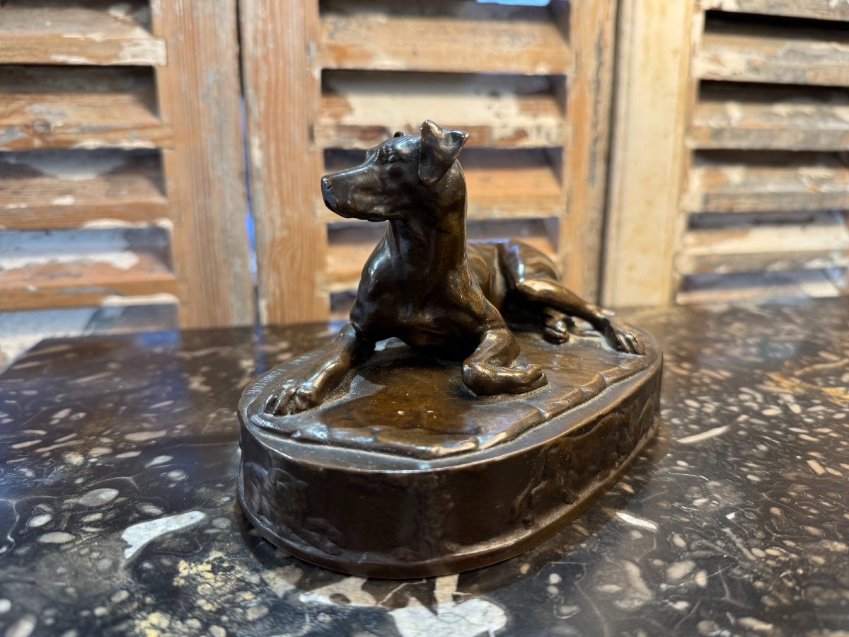 Antique Animal Bronze The Lying Dog By Grégoire Giraud And Founder Barbedienne XIX Eme-photo-2