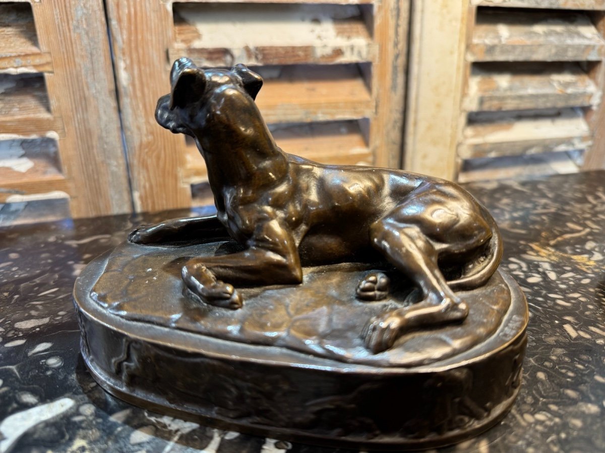 Ancien Bronze Animalier Le Chien Couché Par Grégoire Giraud Et Fondeur Barbedienne XIX Eme-photo-3