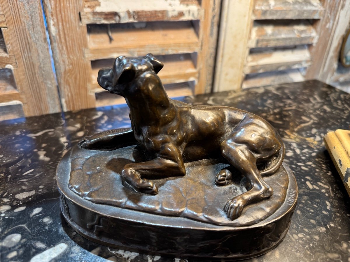 Ancien Bronze Animalier Le Chien Couché Par Grégoire Giraud Et Fondeur Barbedienne XIX Eme-photo-4