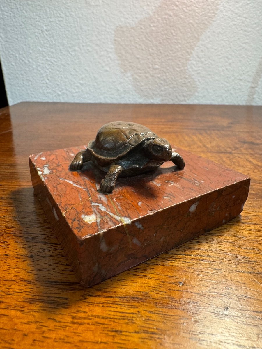  Bronze Statue: The Turtle, 19th Century Patinated Bronze On Marble Base Sculpture Dlgbarye -photo-2