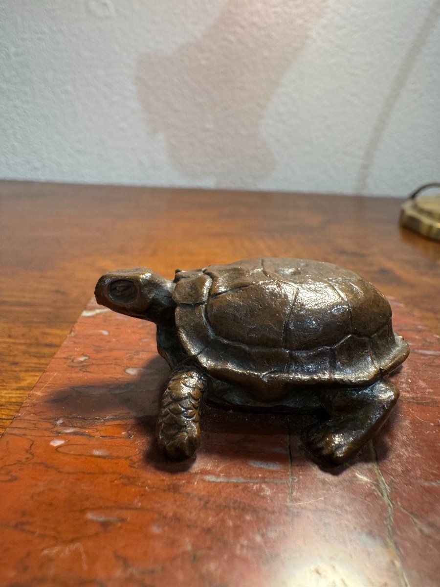  Bronze Statue: The Turtle, 19th Century Patinated Bronze On Marble Base Sculpture Dlgbarye -photo-3