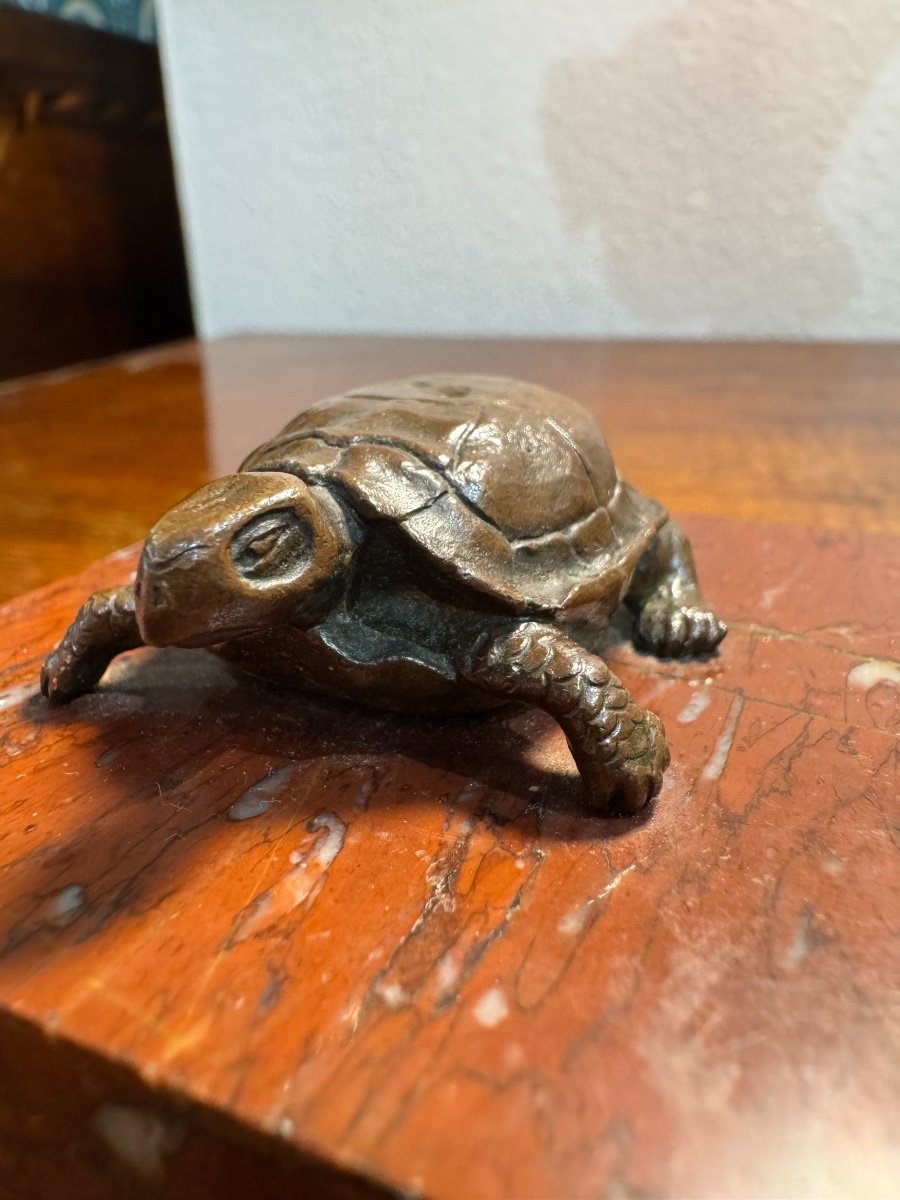  Bronze Statue: The Turtle, 19th Century Patinated Bronze On Marble Base Sculpture Dlgbarye -photo-4