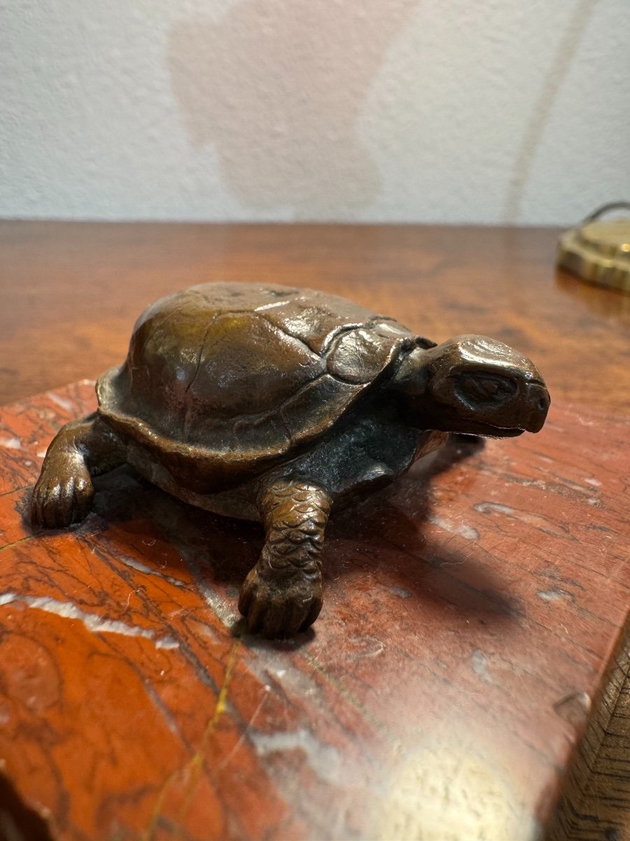  Bronze Statue: The Turtle, 19th Century Patinated Bronze On Marble Base Sculpture Dlgbarye -photo-2