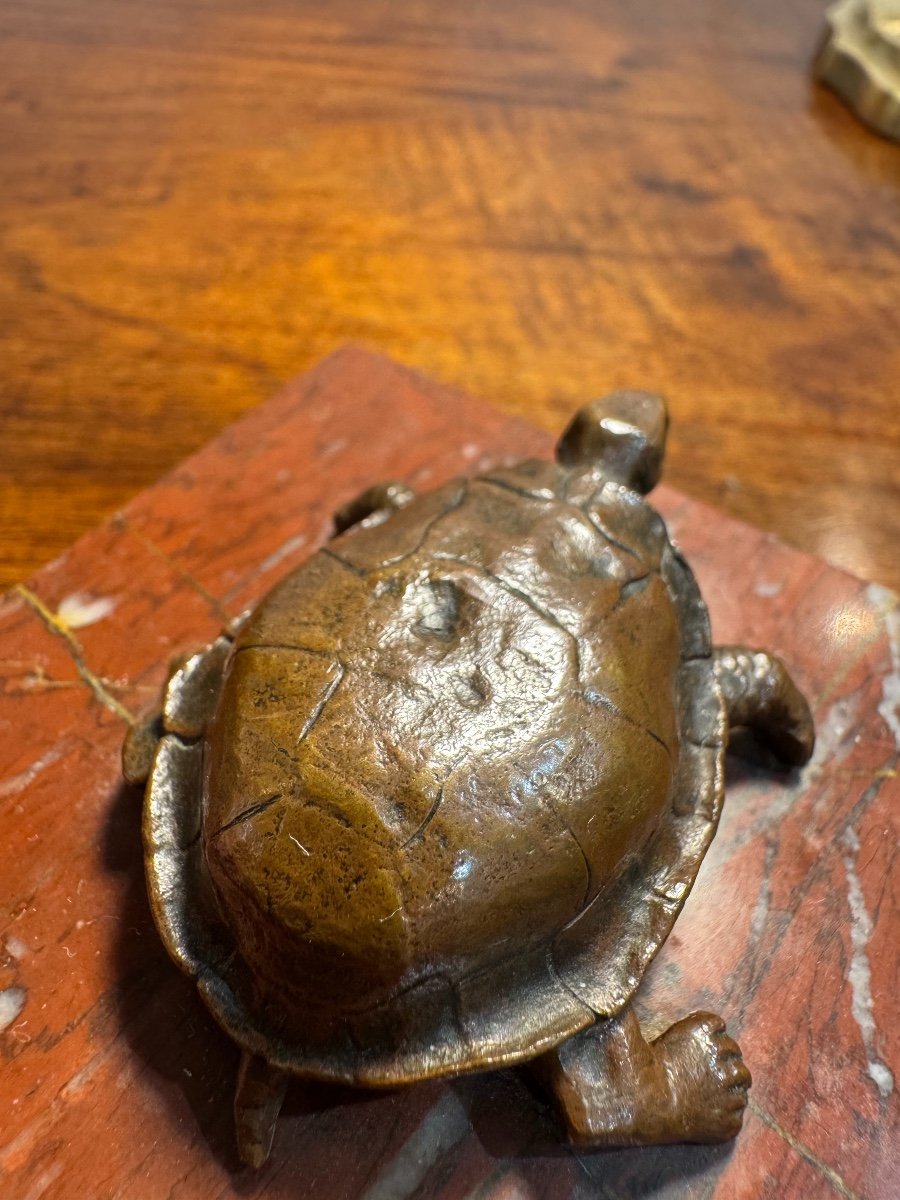  Bronze Statue: The Turtle, 19th Century Patinated Bronze On Marble Base Sculpture Dlgbarye -photo-4