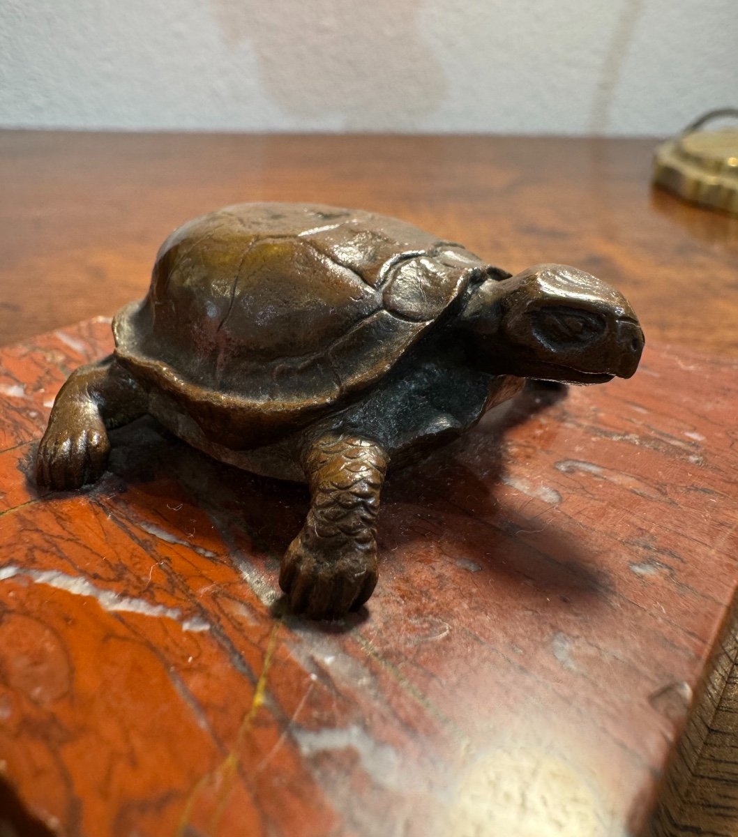  Bronze Statue: The Turtle, 19th Century Patinated Bronze On Marble Base Sculpture Dlgbarye 