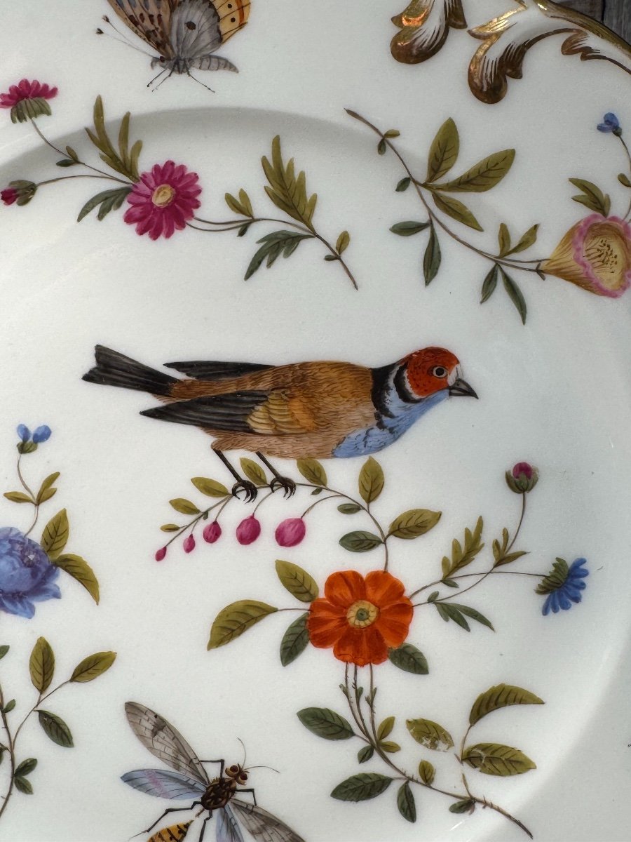 Old Porcelain Plate Decorated With Birds And Insects End Of The 19th Century Old Paris-photo-2