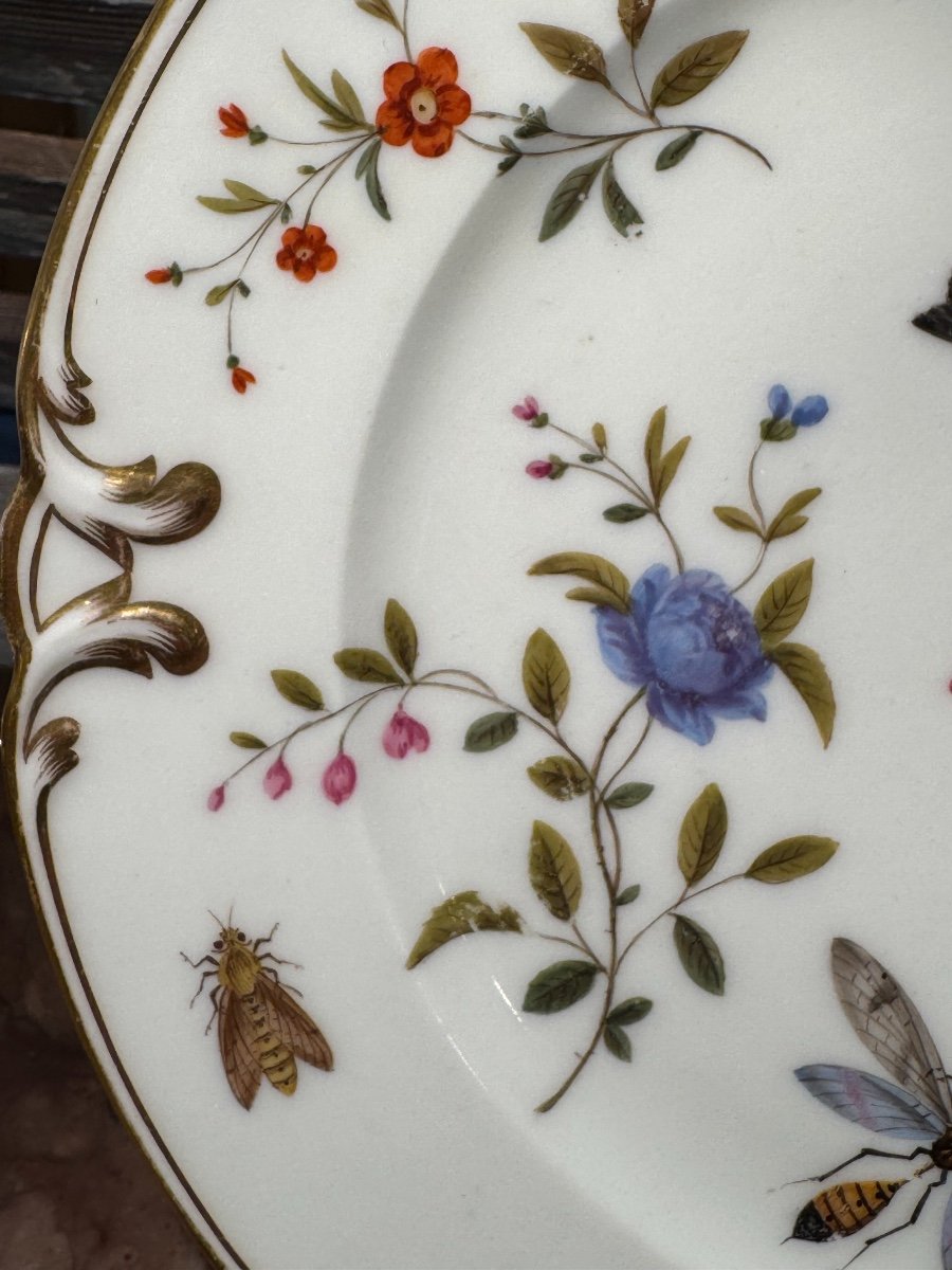 Old Porcelain Plate Decorated With Birds And Insects End Of The 19th Century Old Paris-photo-2