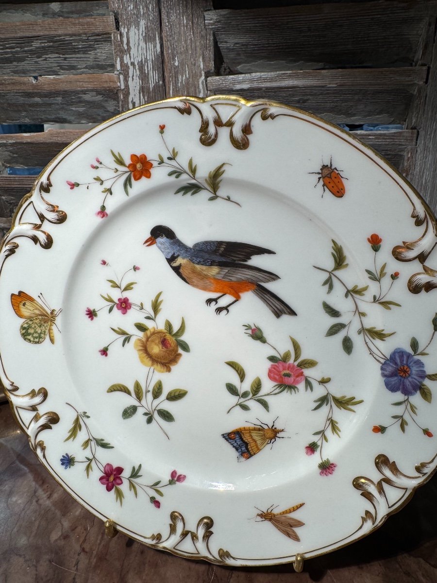 Ancienne Assiette En Porcelaine Décor Aux Oiseaux Et Insectes Fin XIX ème Vieux Paris 2-photo-2