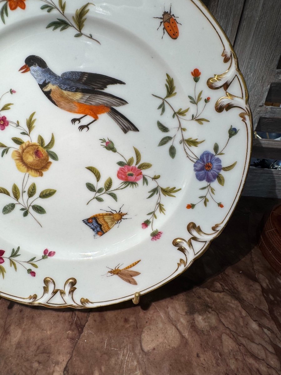 Ancienne Assiette En Porcelaine Décor Aux Oiseaux Et Insectes Fin XIX ème Vieux Paris 2-photo-4