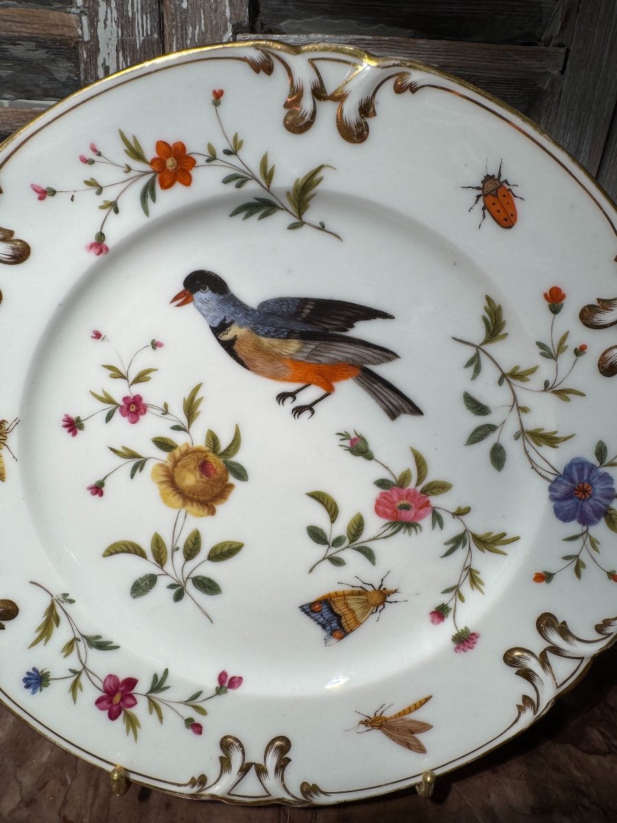 Ancienne Assiette En Porcelaine Décor Aux Oiseaux Et Insectes Fin XIX ème Vieux Paris 2-photo-1