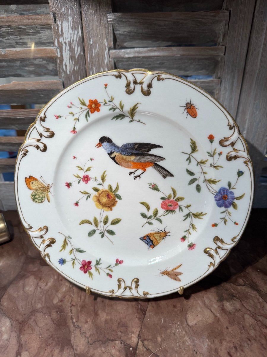 Ancienne Assiette En Porcelaine Décor Aux Oiseaux Et Insectes Fin XIX ème Vieux Paris 2-photo-3