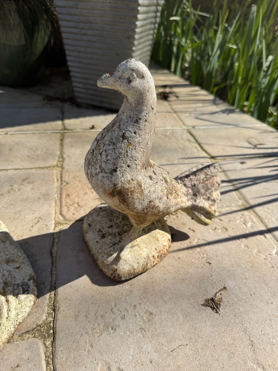 Frog And Pigeon Lot: Reconstituted Stone Animals Garden Circa 1950 Vintage Exterior-photo-4