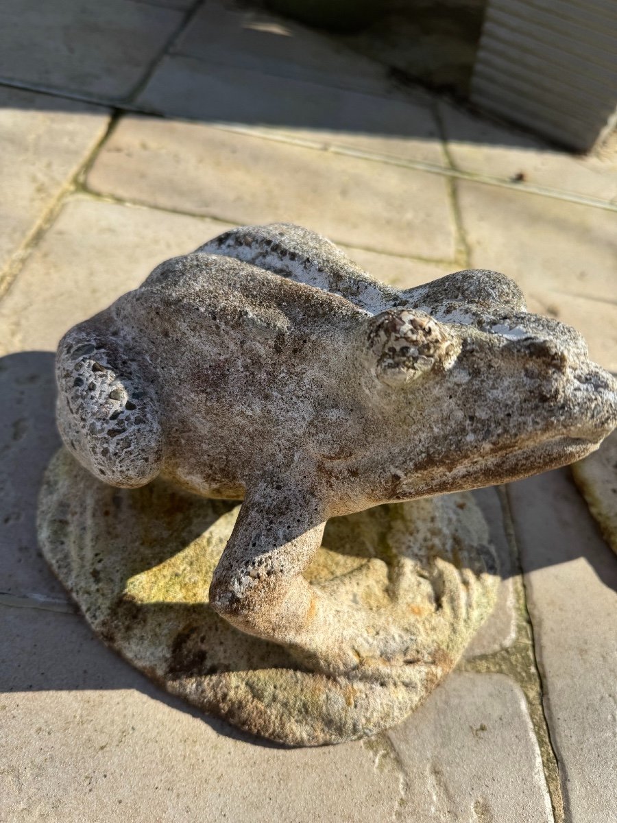 Frog And Pigeon Lot: Reconstituted Stone Animals Garden Circa 1950 Vintage Exterior-photo-2