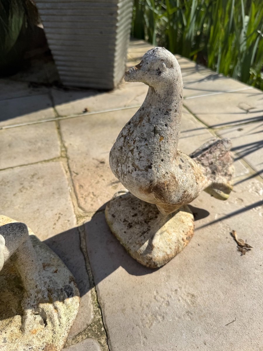 Frog And Pigeon Lot: Reconstituted Stone Animals Garden Circa 1950 Vintage Exterior-photo-3