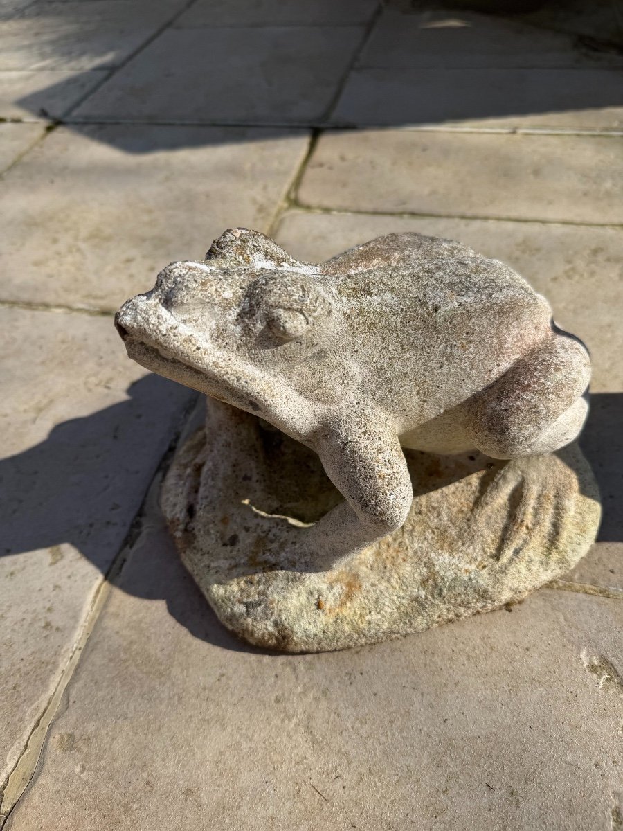 Frog And Pigeon Lot: Reconstituted Stone Animals Garden Circa 1950 Vintage Exterior-photo-4