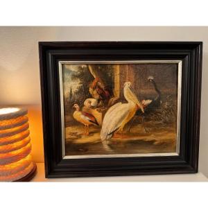 Old Painting 19th Century Oil On Canvas Hst: Birds Of Paradise Flemish School Rare