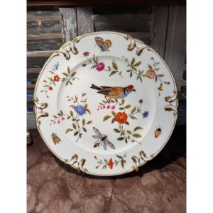 Ancienne Assiette En Porcelaine Décor Aux Oiseaux Et Insectes Fin XIX ème Vieux Paris