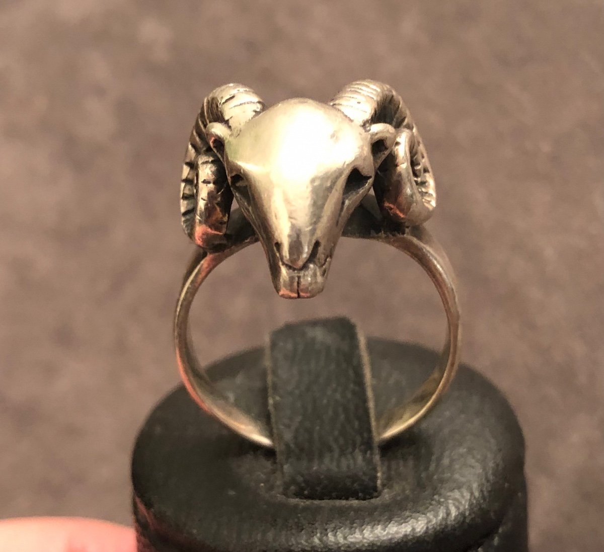 Aries Silver Ring -photo-1